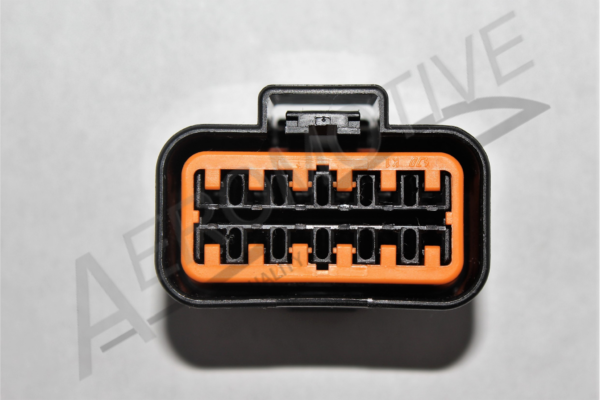 12-Way Female Connector with 6 six inches wire leads