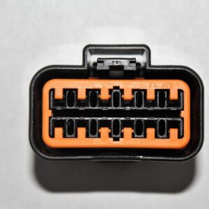C118 (12-way Female Connector with 6 six inches wire leads.)