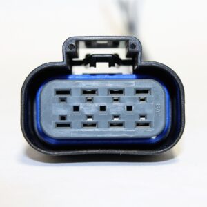 C359 (8-Way Connector)